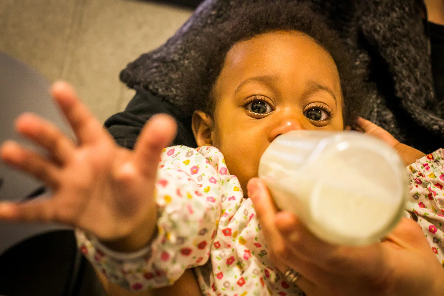 WideEyedStudiosFamilyParenthoodObergAdoption-2.jpg