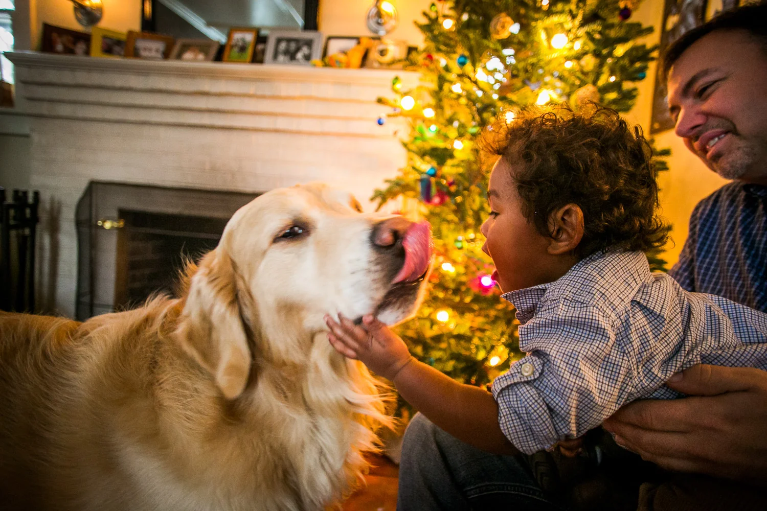 WideEyedStudiosFamilyParenthoodObergAdoption-20.jpg