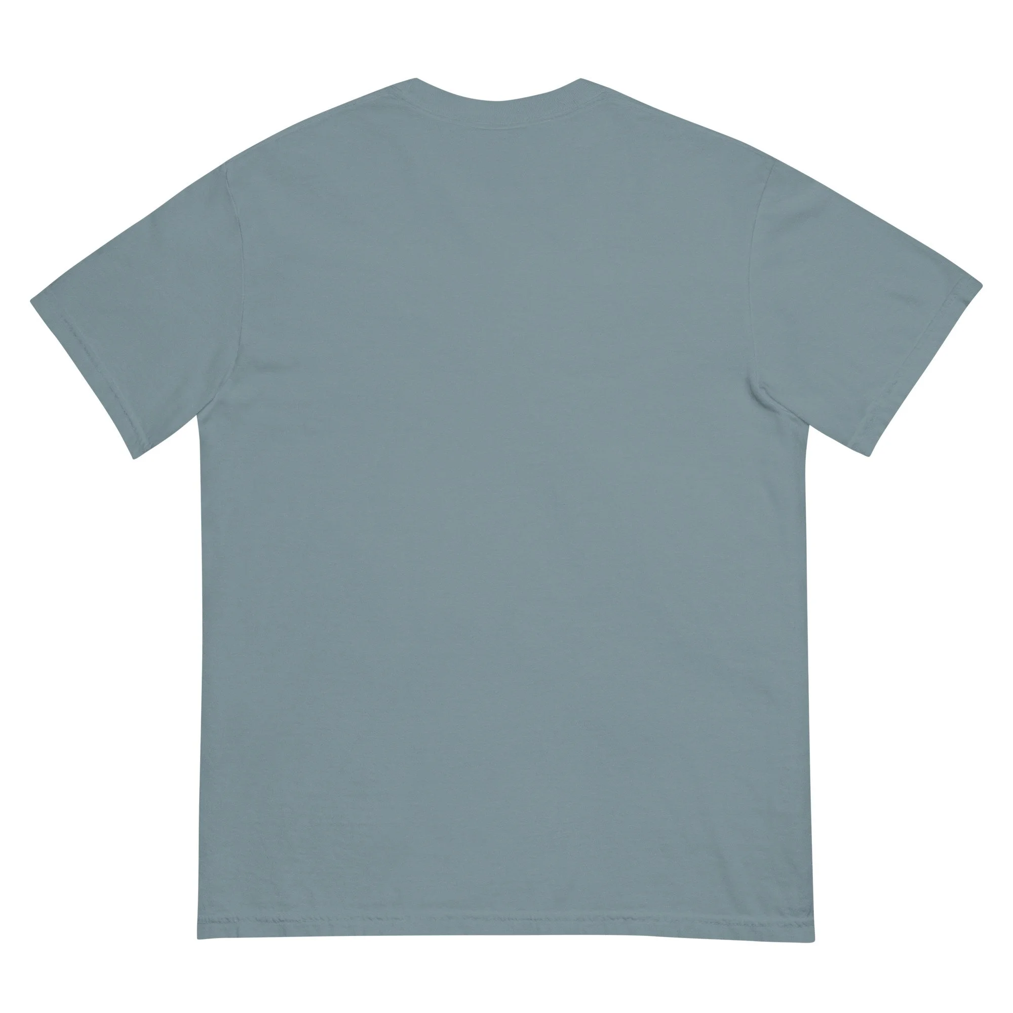 unisex-garment-dyed-heavyweight-t-shirt-ice-blue-back-6a4c1b7810090.jpg