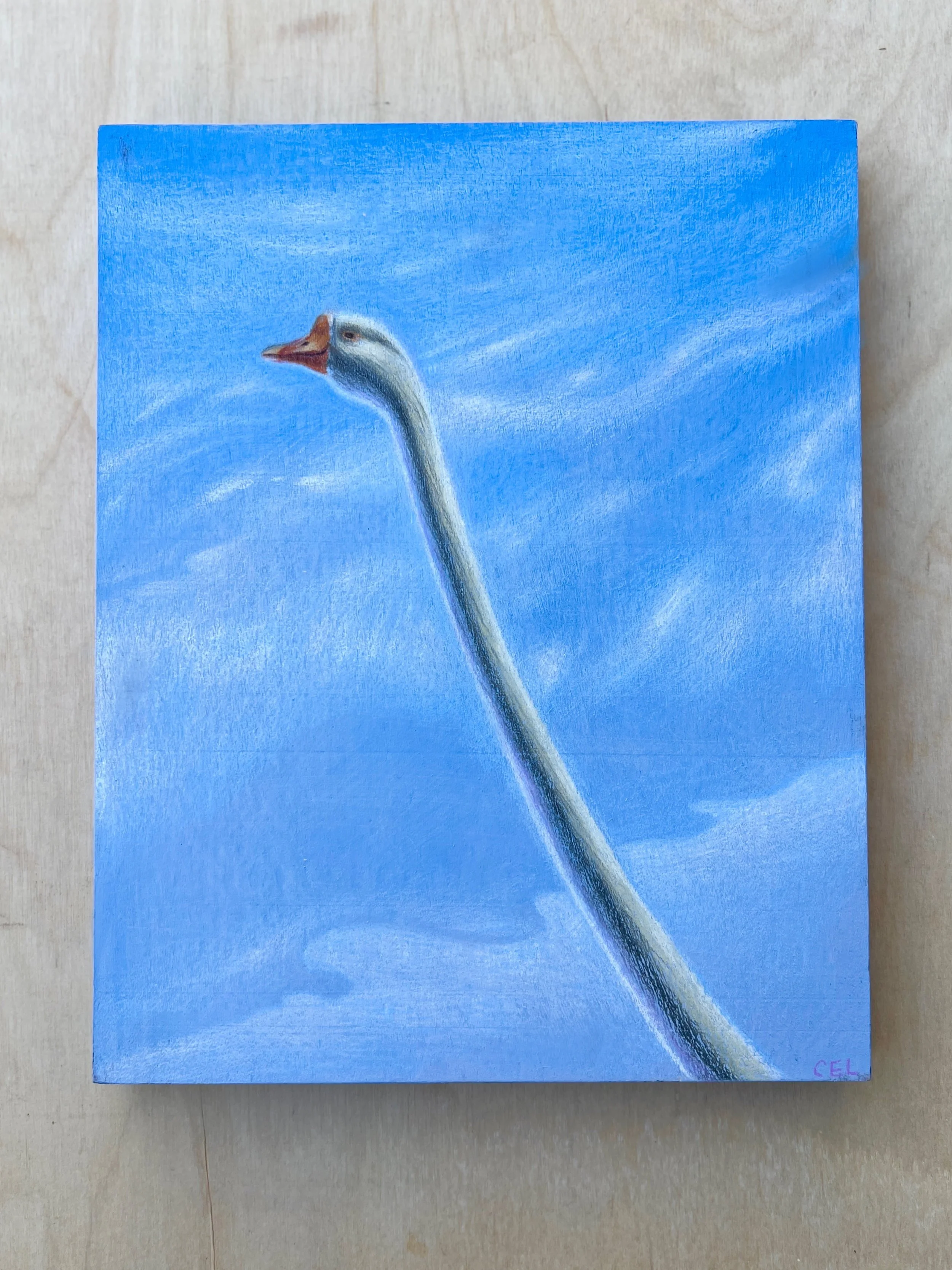 Untitled_Artwork 5.jpg