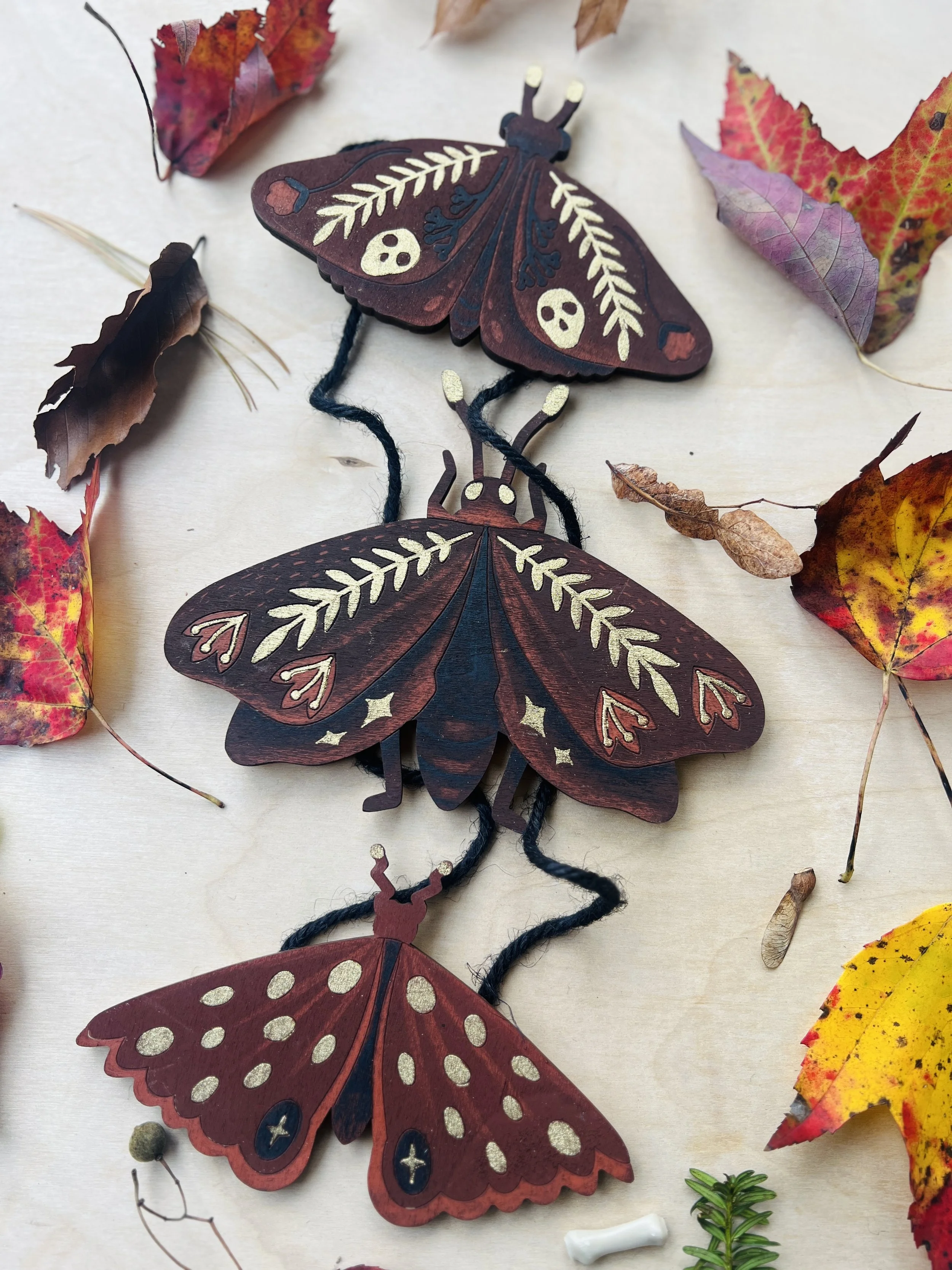 The Book Moths