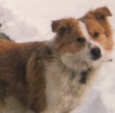 My buddy, Ranger