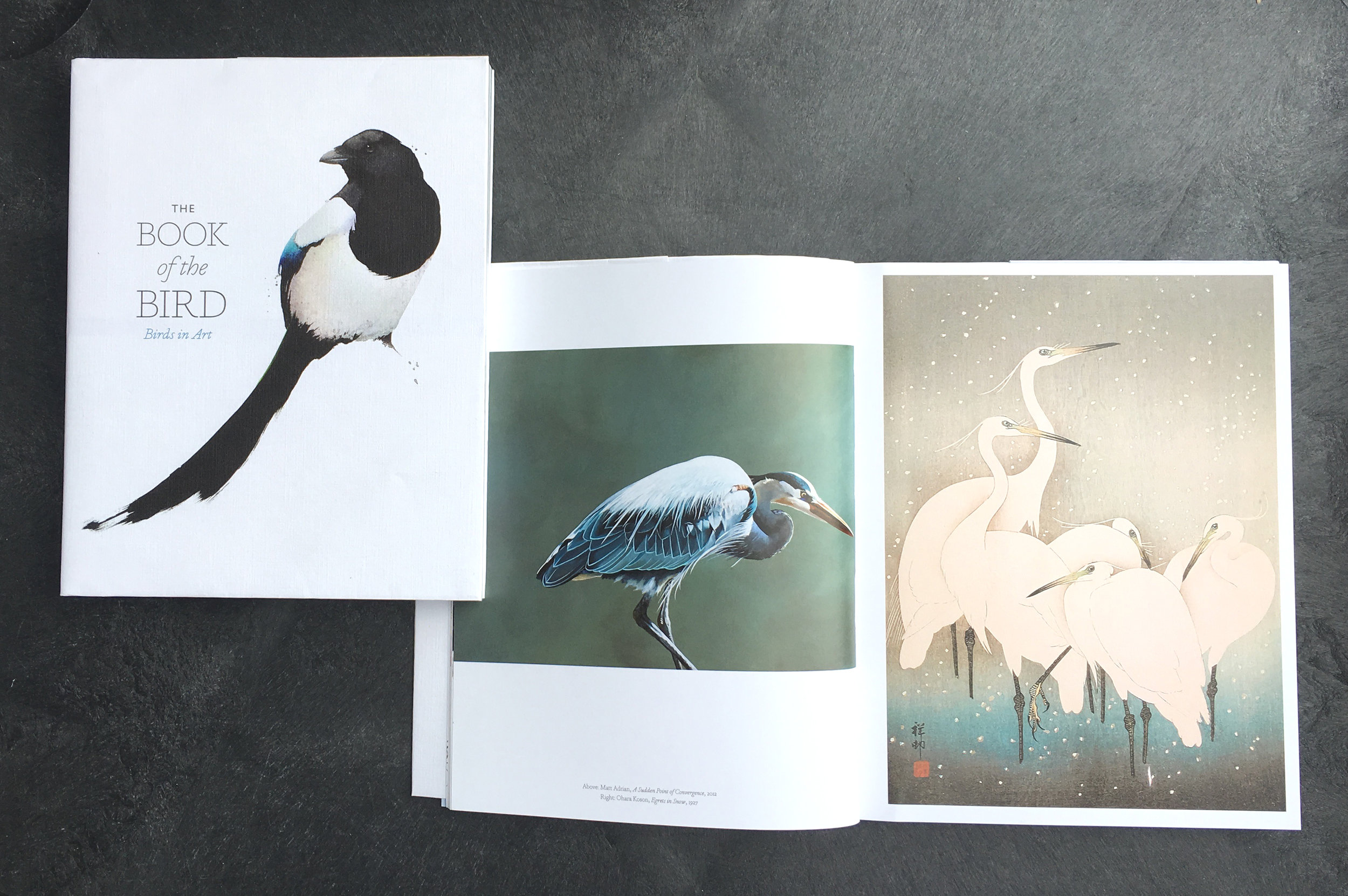 Several of my paintings were featured in the recently released "The Book of the Bird: Birds in Art" from Laurence King Publishing. It features avian paintings by Picasso, Degas and some of the top contemporary bird artists from around the world. To learn more or to order the book, click on the image above.