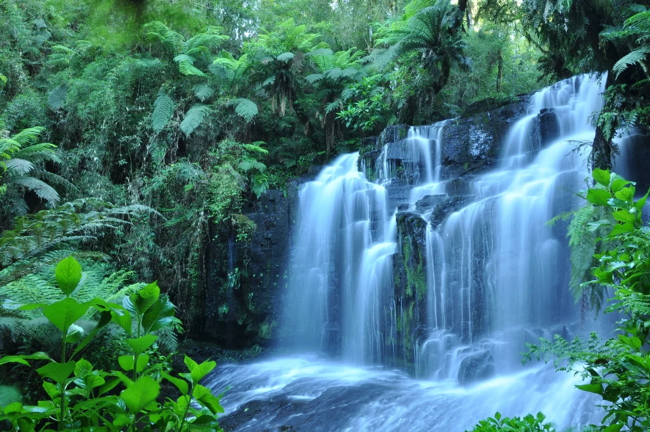 waterfall-1342886-1279x849.jpg
