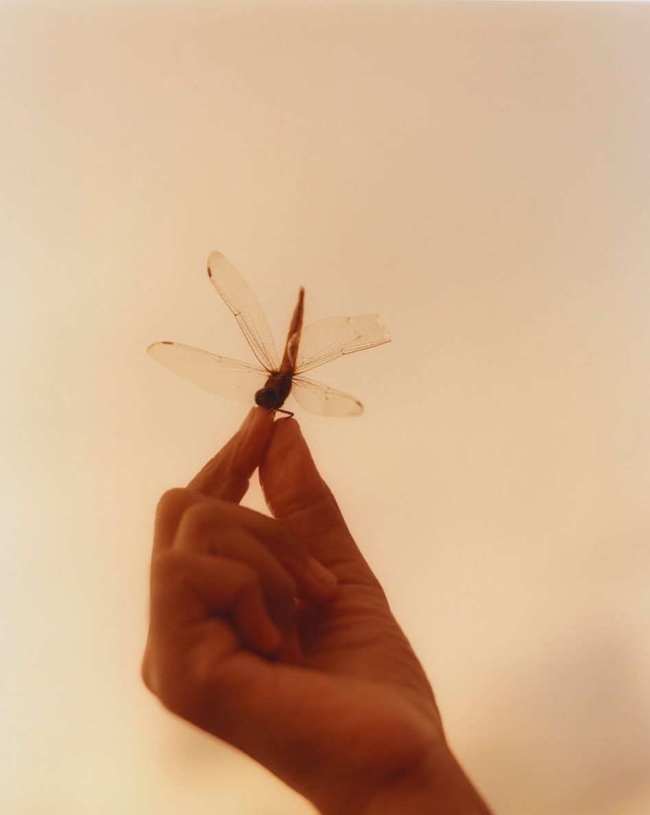 Screenshot 2026-01-07 at 9.11.33 AM.png