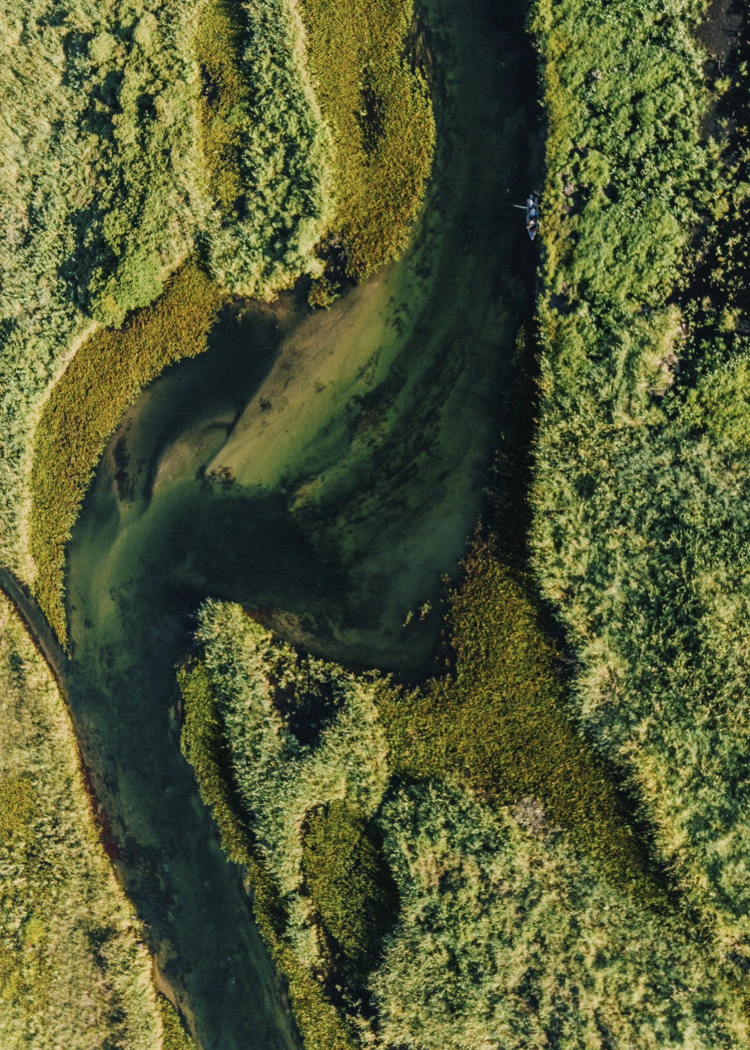 DJI_0120.jpg