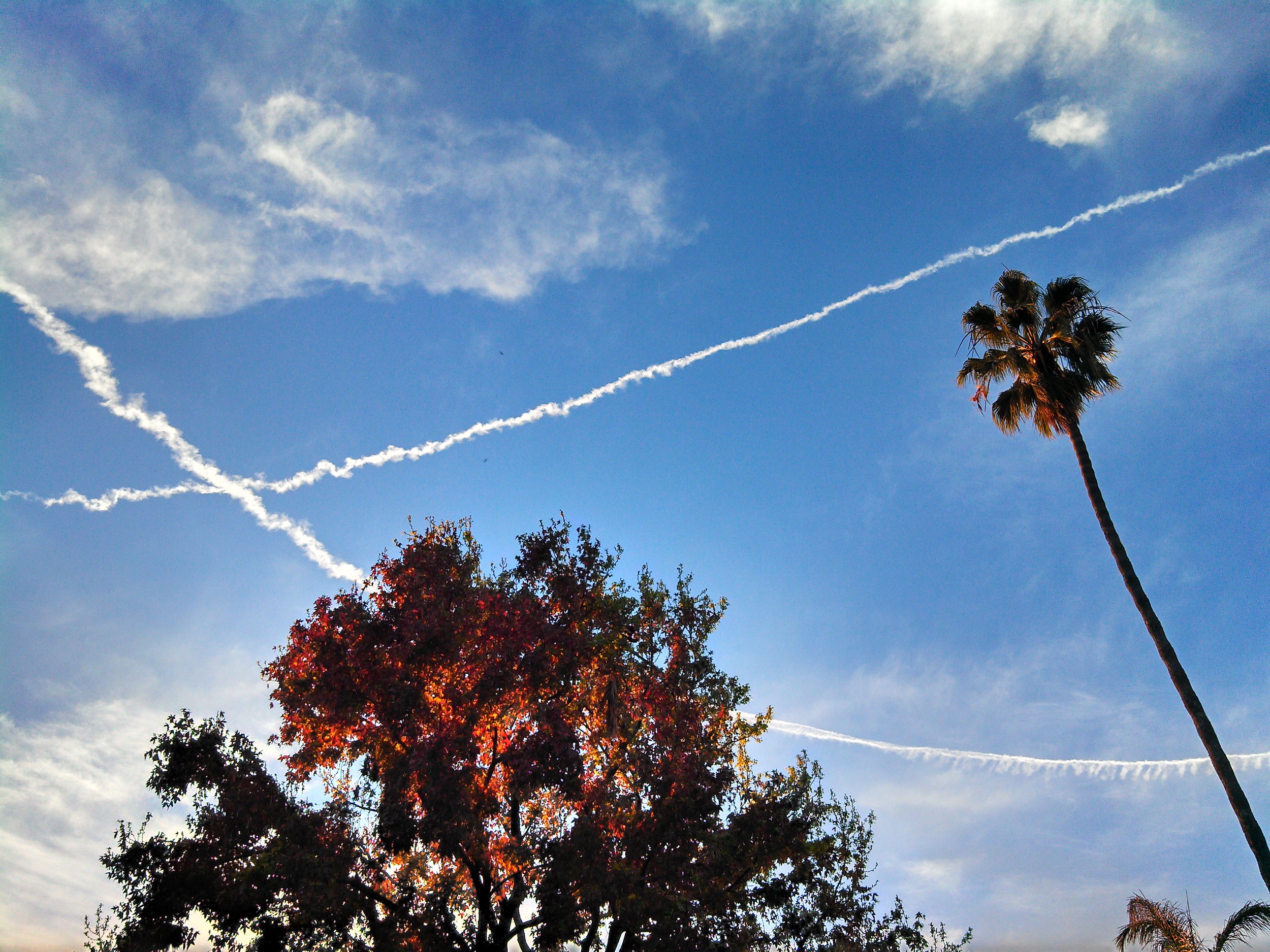2013-03-14 18.51.47 Contrails.jpg