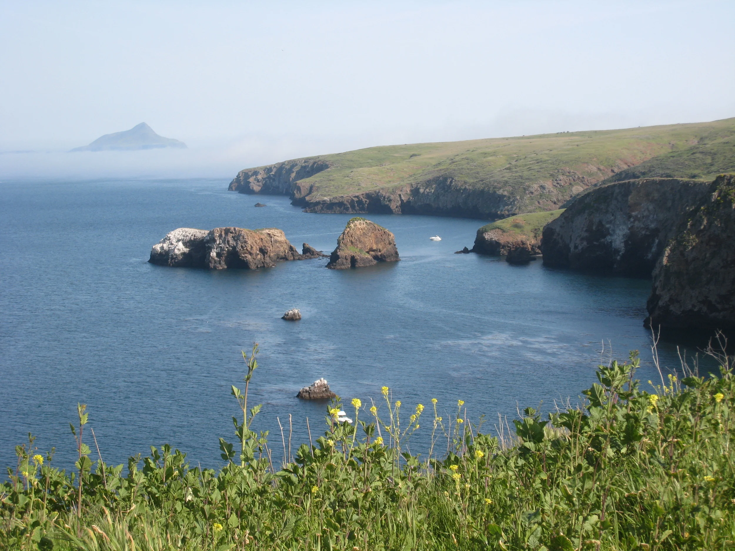 IMG_7945 Best shot, Anacapa, harbor.JPG