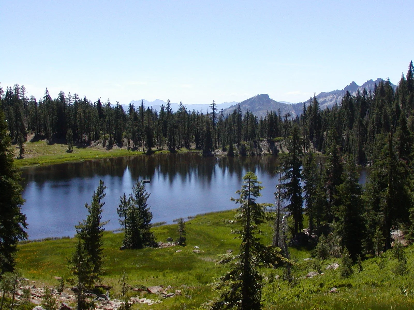 P7190349 Mosquito Lake.JPG