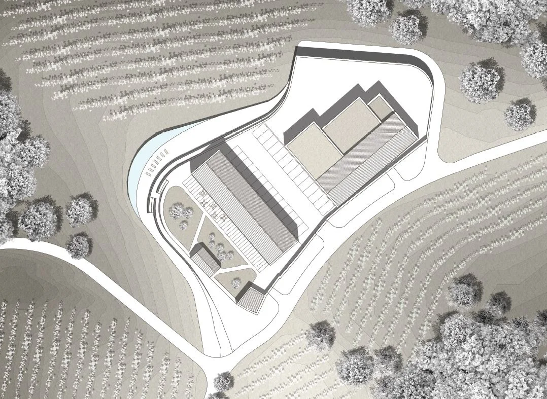 SITUACIJA OŽJEGA OBMOČJA.JPG