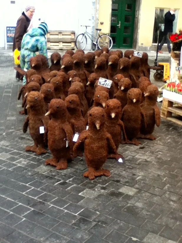 Holidays far from home can be confusing. For example: these inexplicable Christmas penguins, as seen in Copenhagen last year.