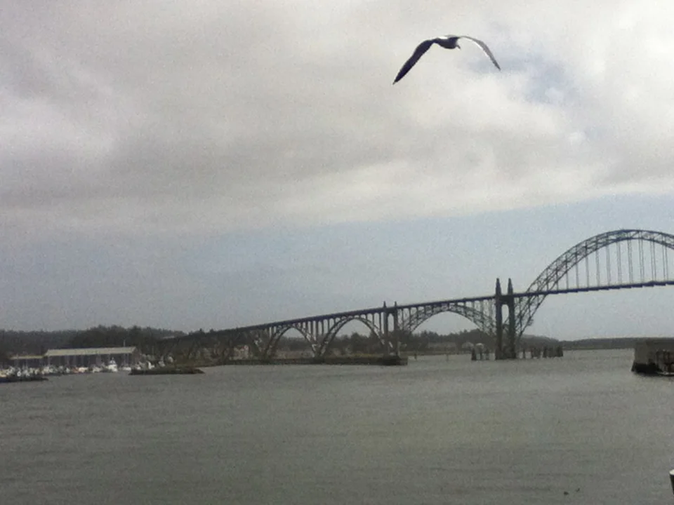 Gap years are also referred to as bridge years. Cue cliche but compelling questions: where might a year take you? (Photo taken on the Oregon coast, in the rain)