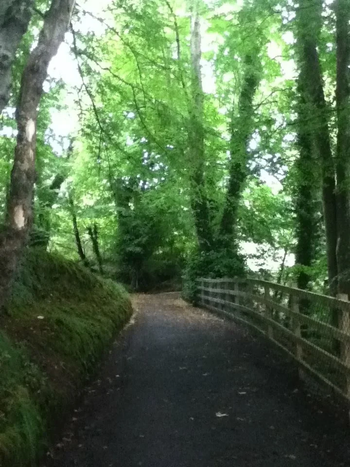 Path.jpg