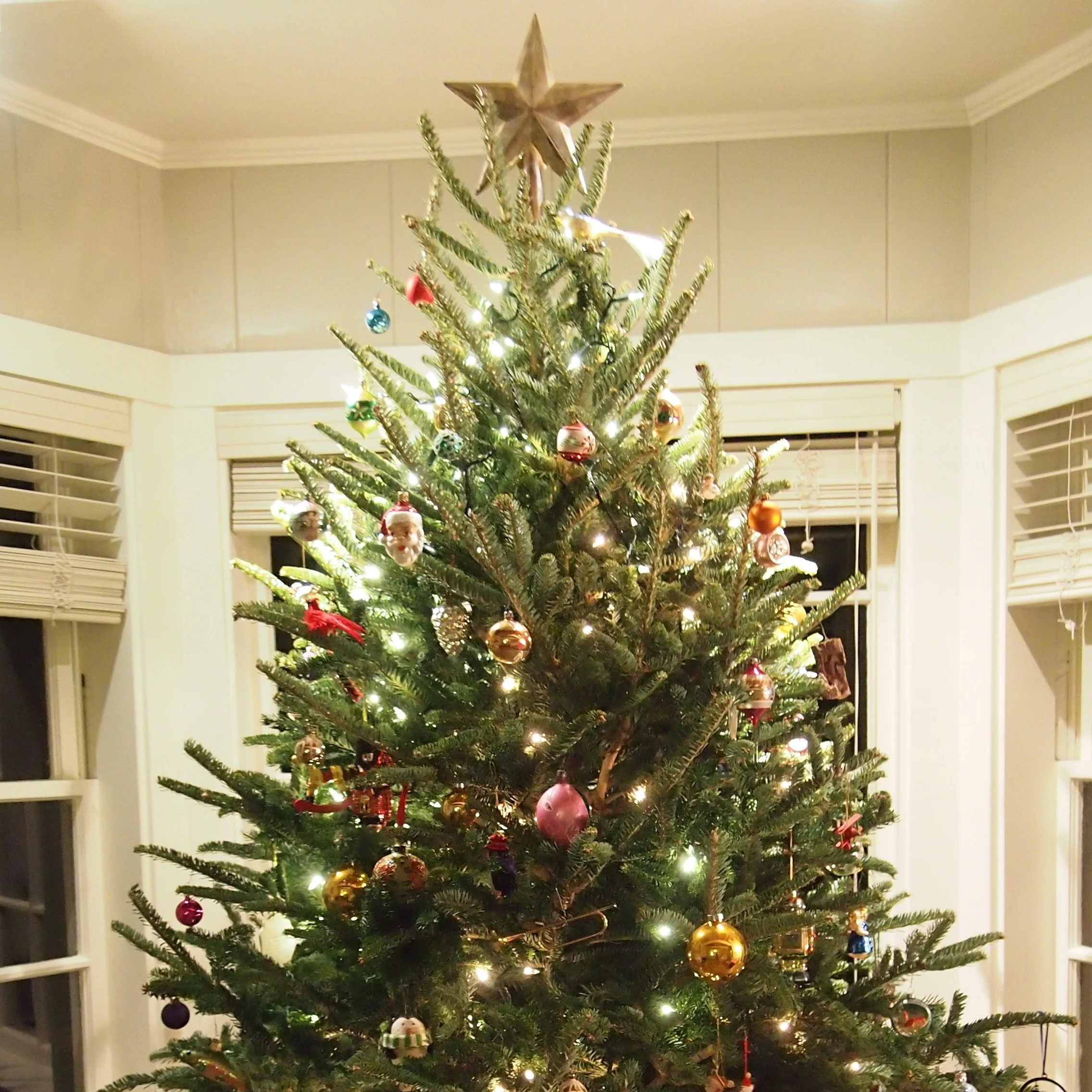 Every Picture Tells (Part Of) a Story