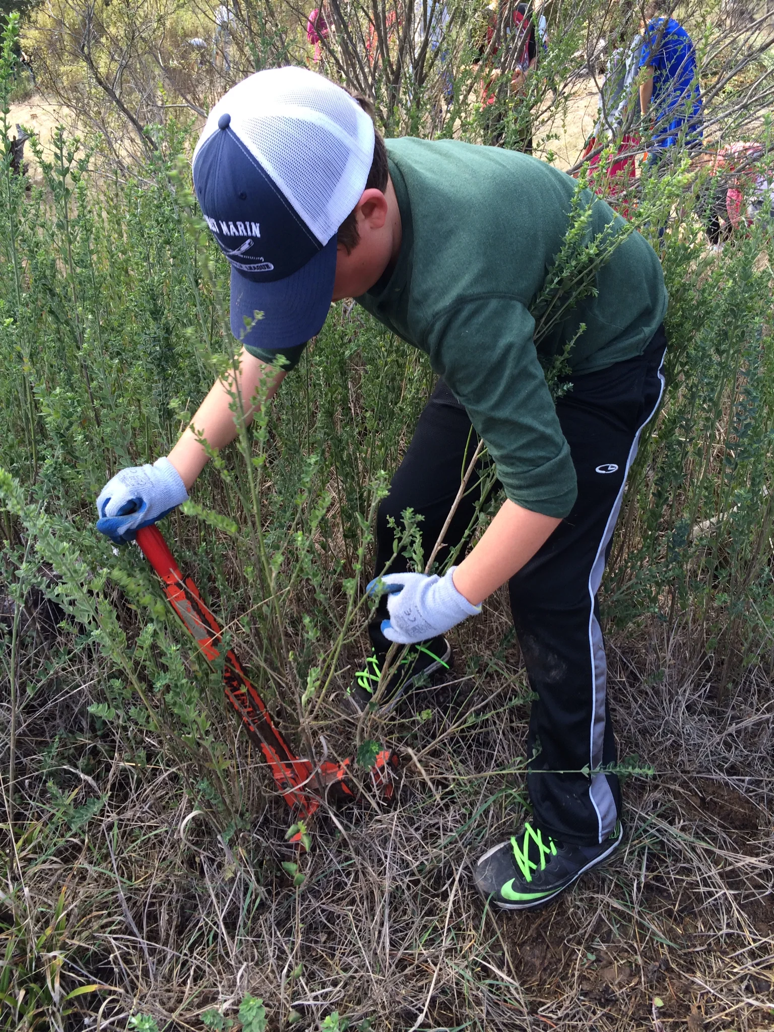 Sometimes I Want to Unhinge My Jaw