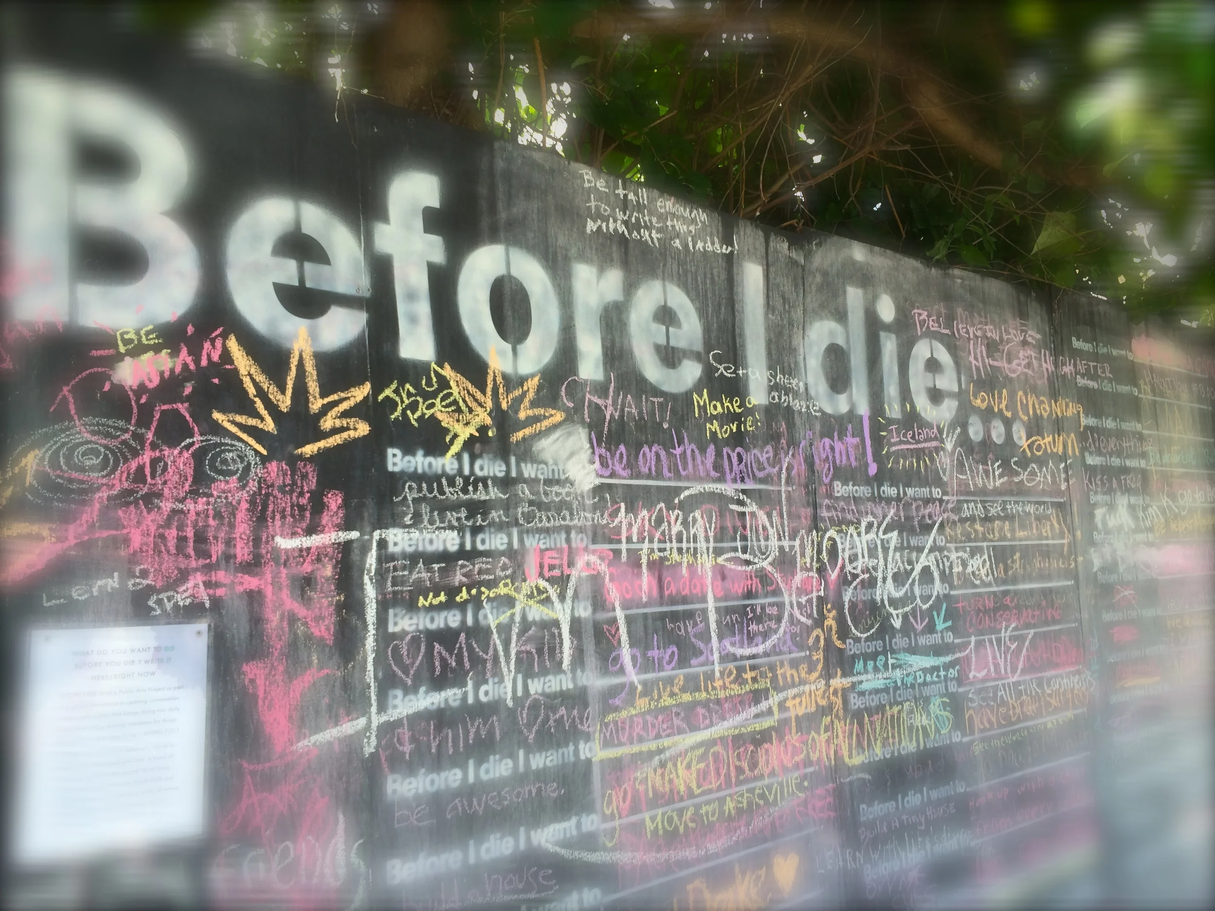 What do you want to do....