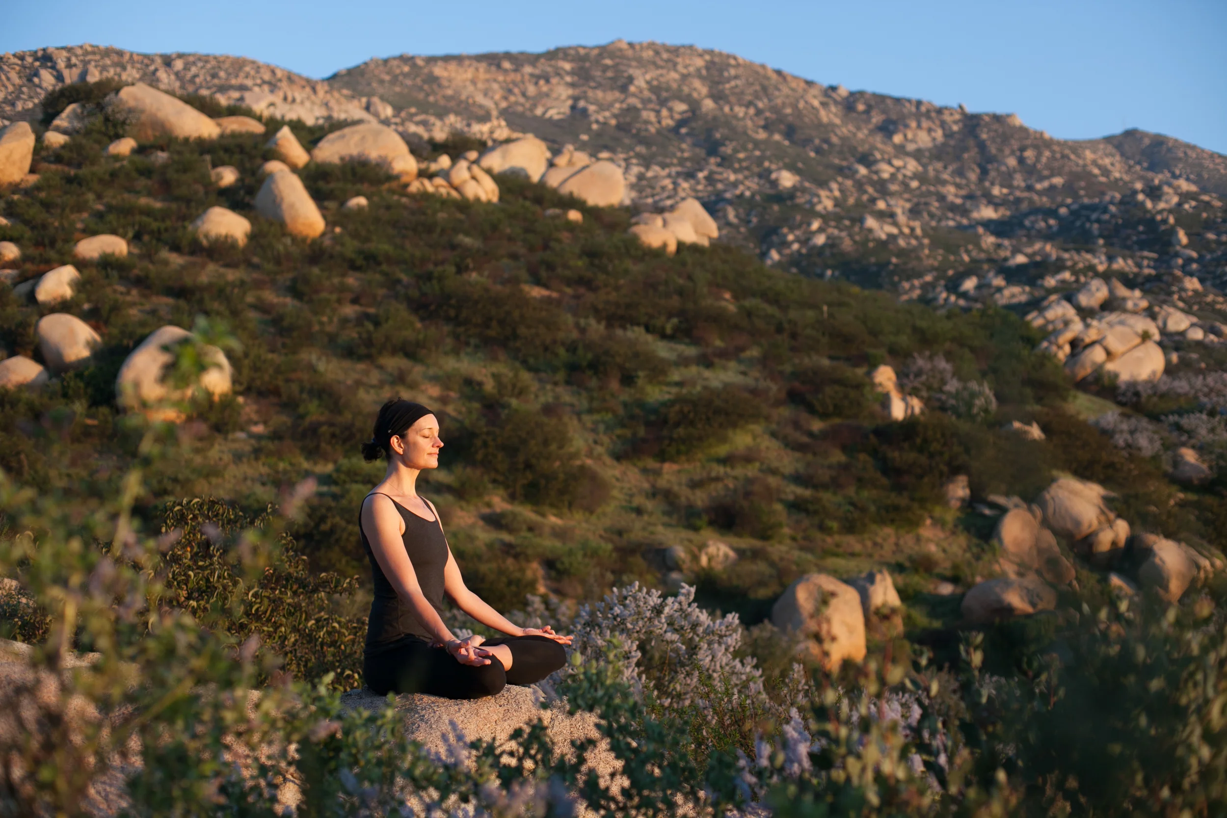 The Goodness: A Beginning