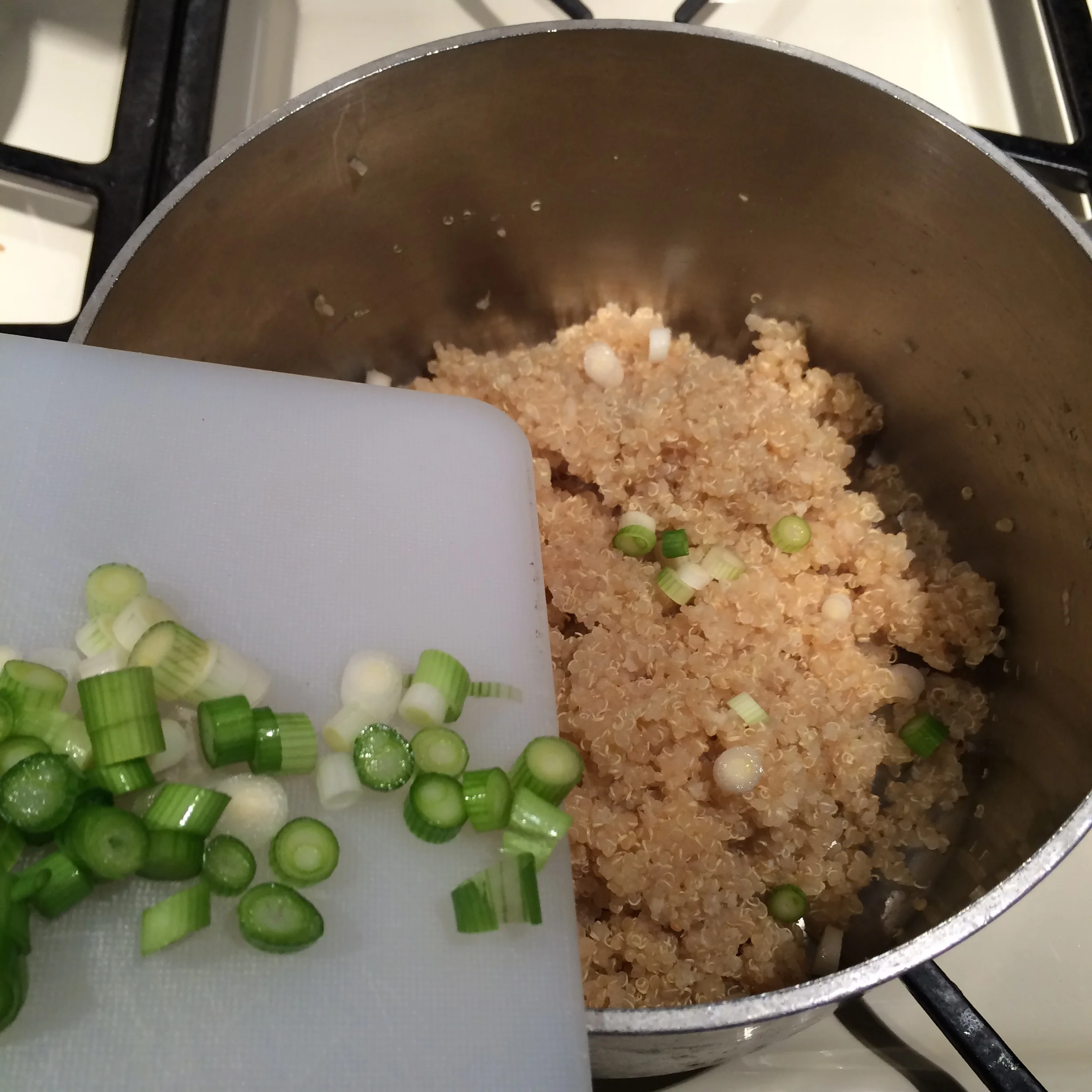 Two Weeks Vegan: Um, Why?