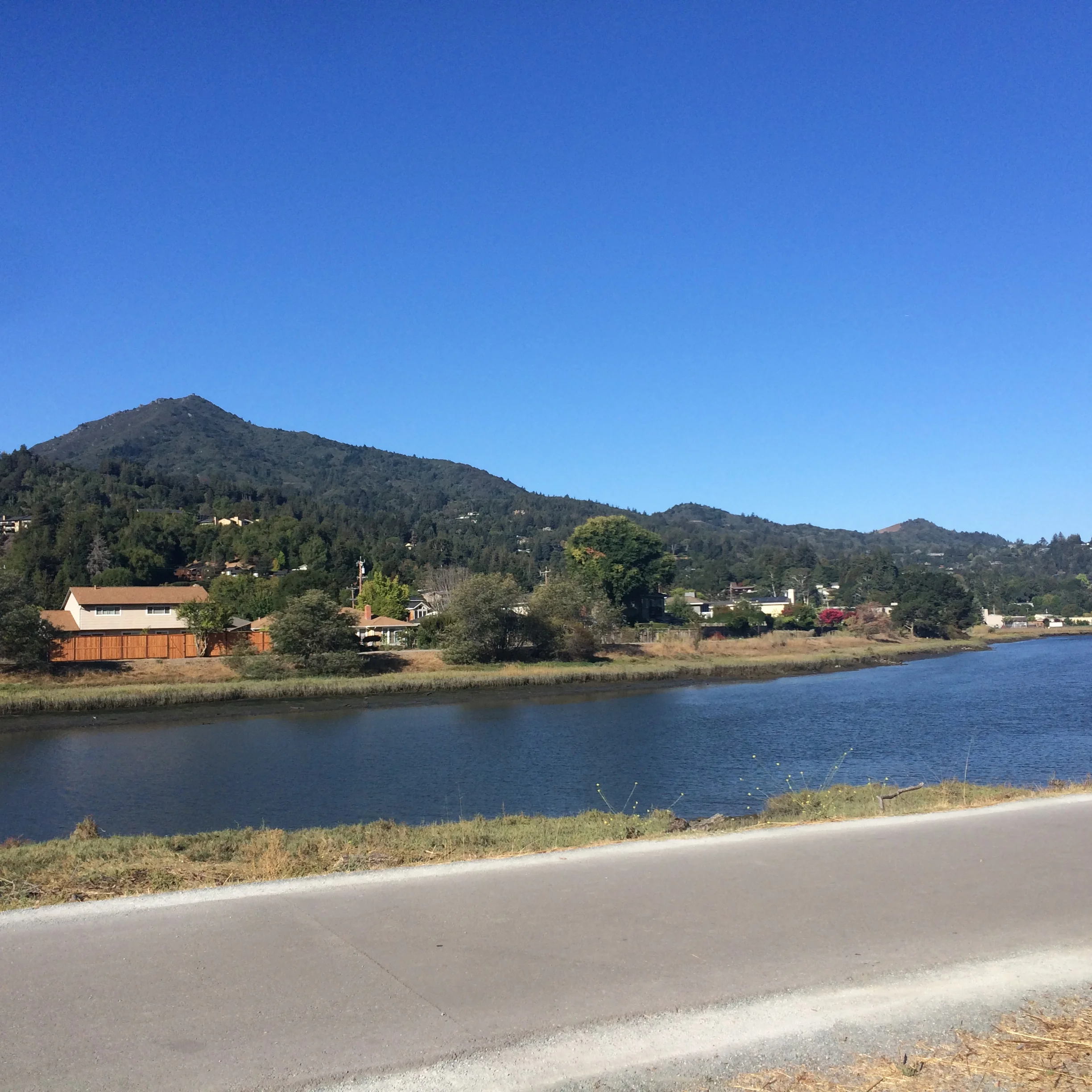 What a Difference a Day Makes