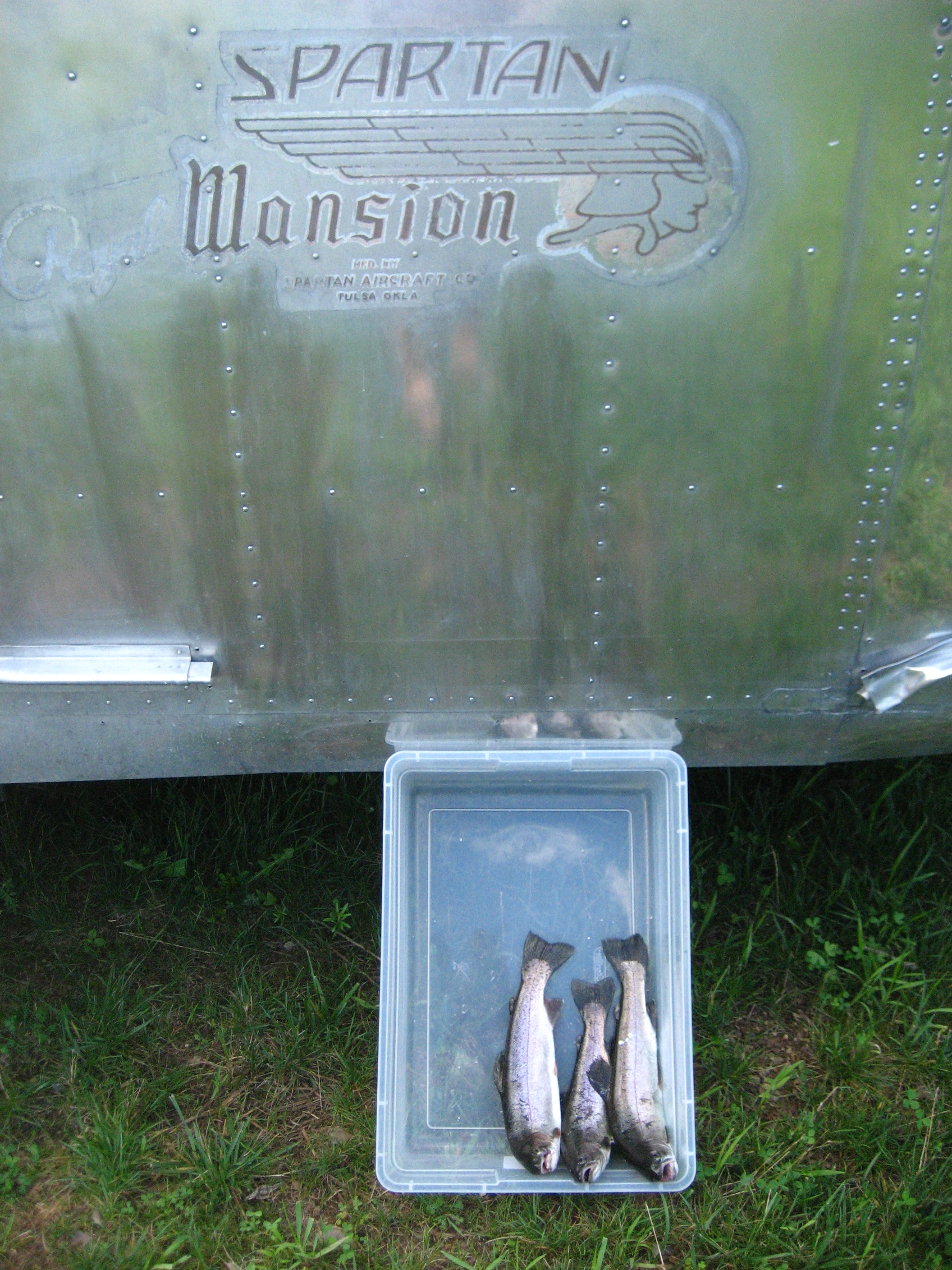 trailer with fresh trout_20080803_1770.JPG