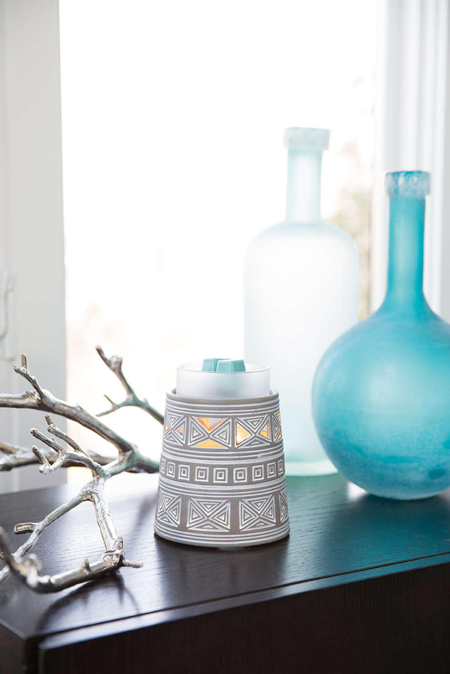 Scentsy-Day5 Dump-720.jpg