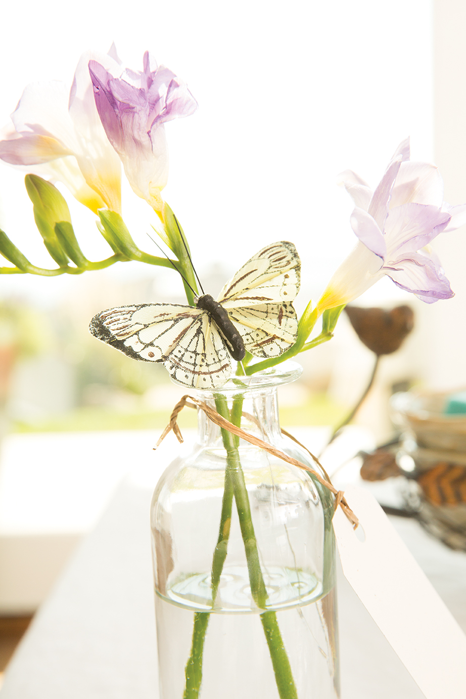 Scentsy-OW9A4705.jpg