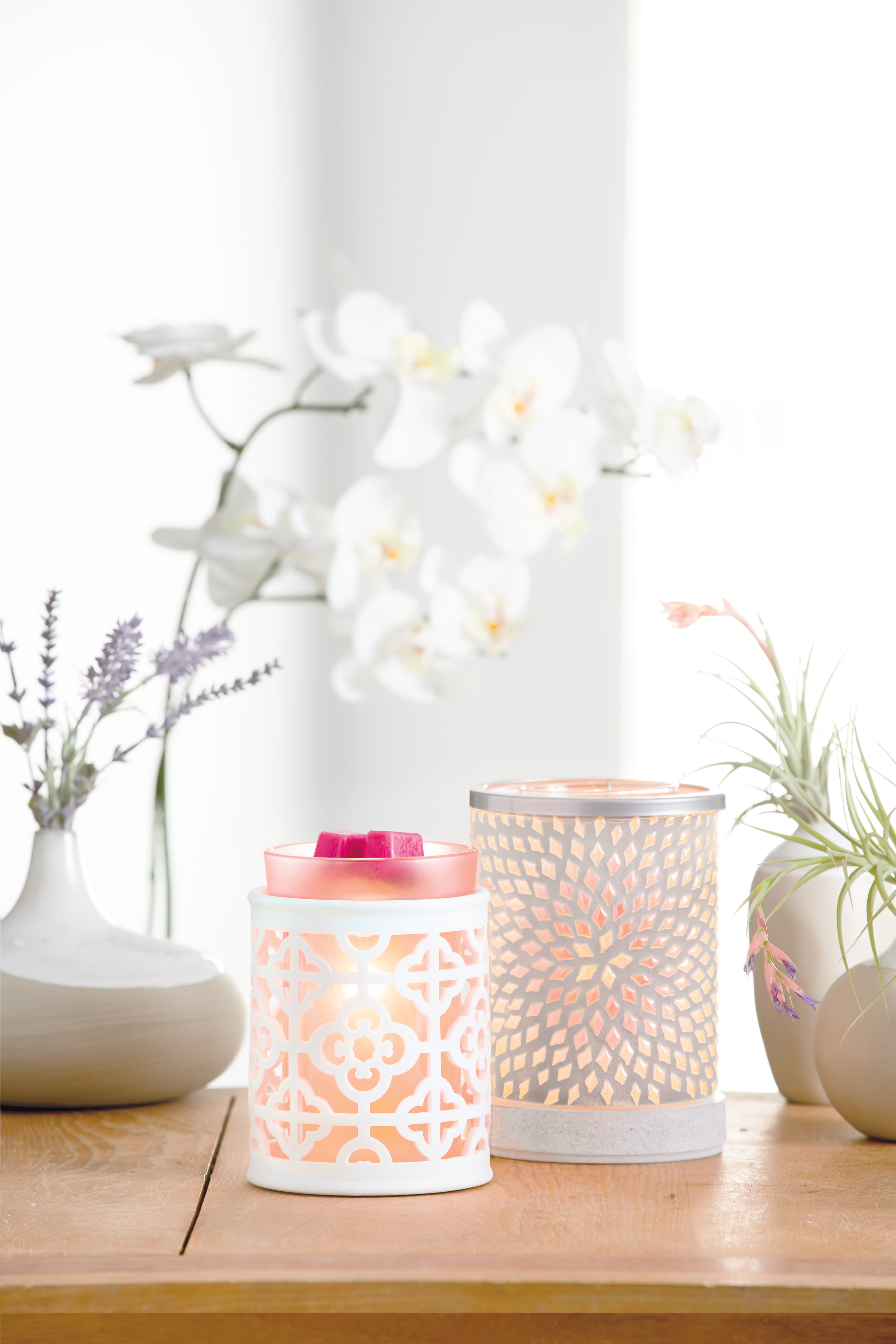 R1-HOME-Beloved-Starflower-ENV-WEB-FW17.jpg