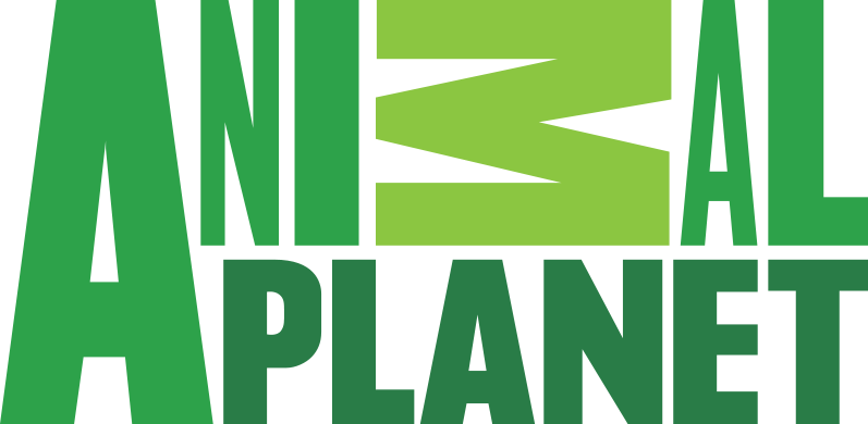 797px-Animal_Planet_logo.svg.png