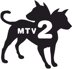 252px-Mtv2_logo.svg.png