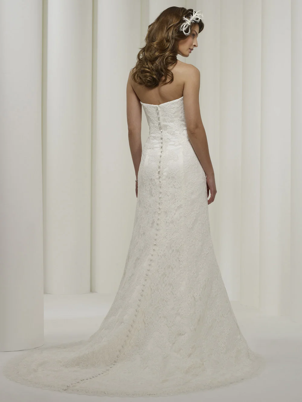 11212-virginia-back.jpg