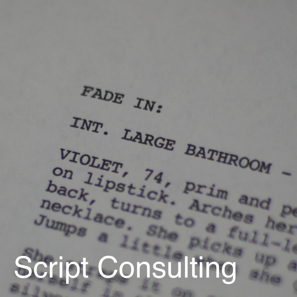 Script Consulting