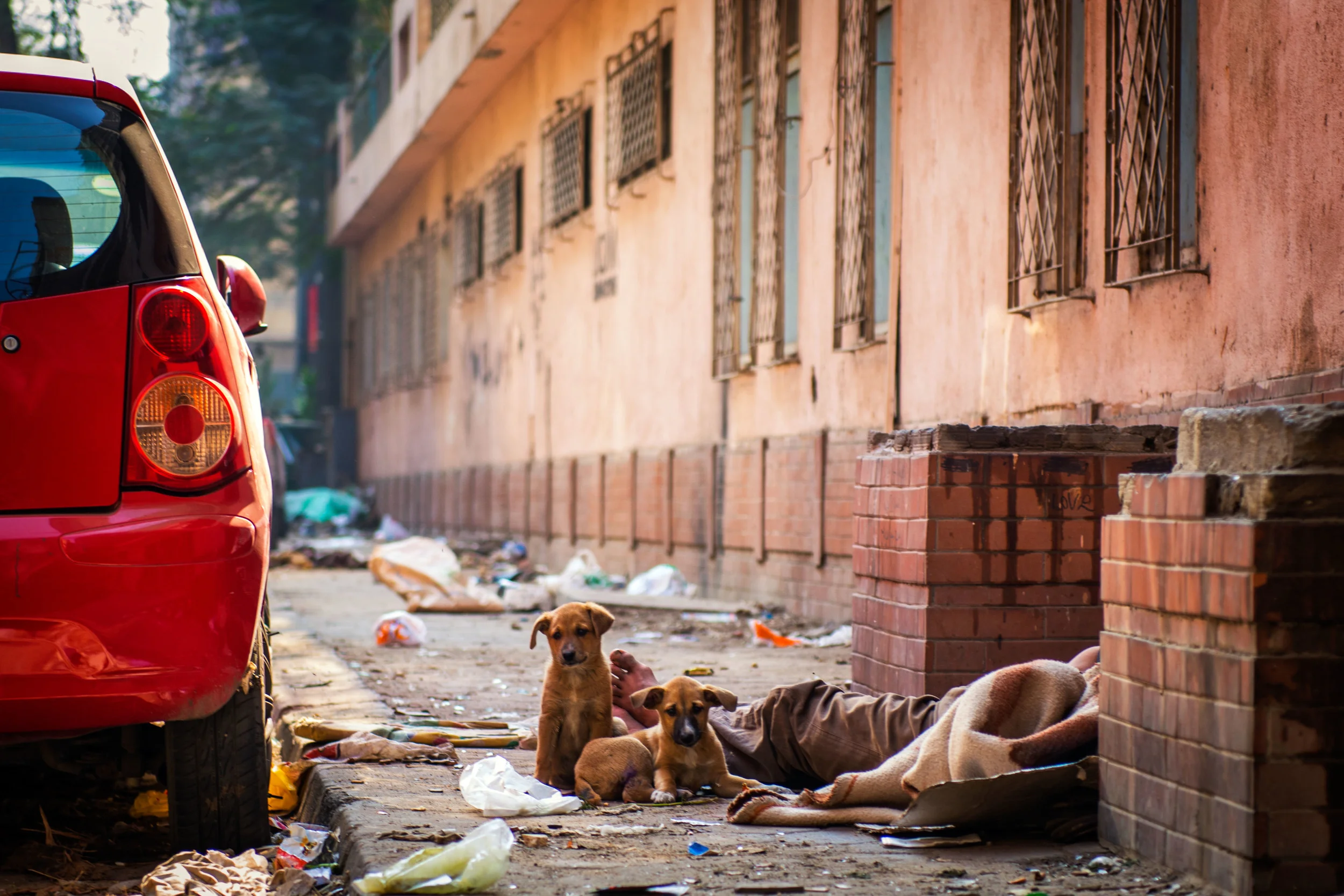 Hidden in Plain Sight