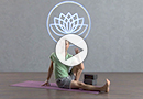 Twists and Arm Balances Turn your attention to alignment in this strong and playful progression of standing poses, arm balances and seated twists. This class includes approaches to Bakasana and Parsva Bakasana for beginners. You'll end with pranayama to balance the nervous system. 65mins Level: Intermediate Props: block, blanket and strap $2.99 per view $7.99 download yoga download.com