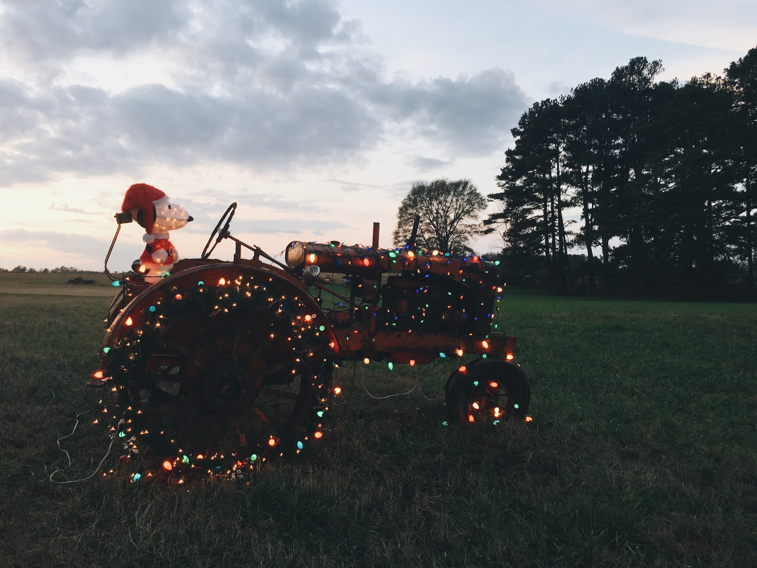   "Southern Christmas"&nbsp; ft. Snoopy  Brooks, Georgia ||&nbsp;December 2015 || iPhone 6s Plus 