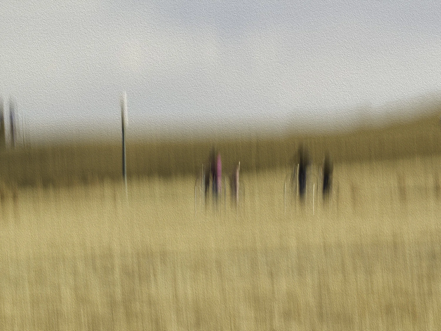 Family Day in the Park