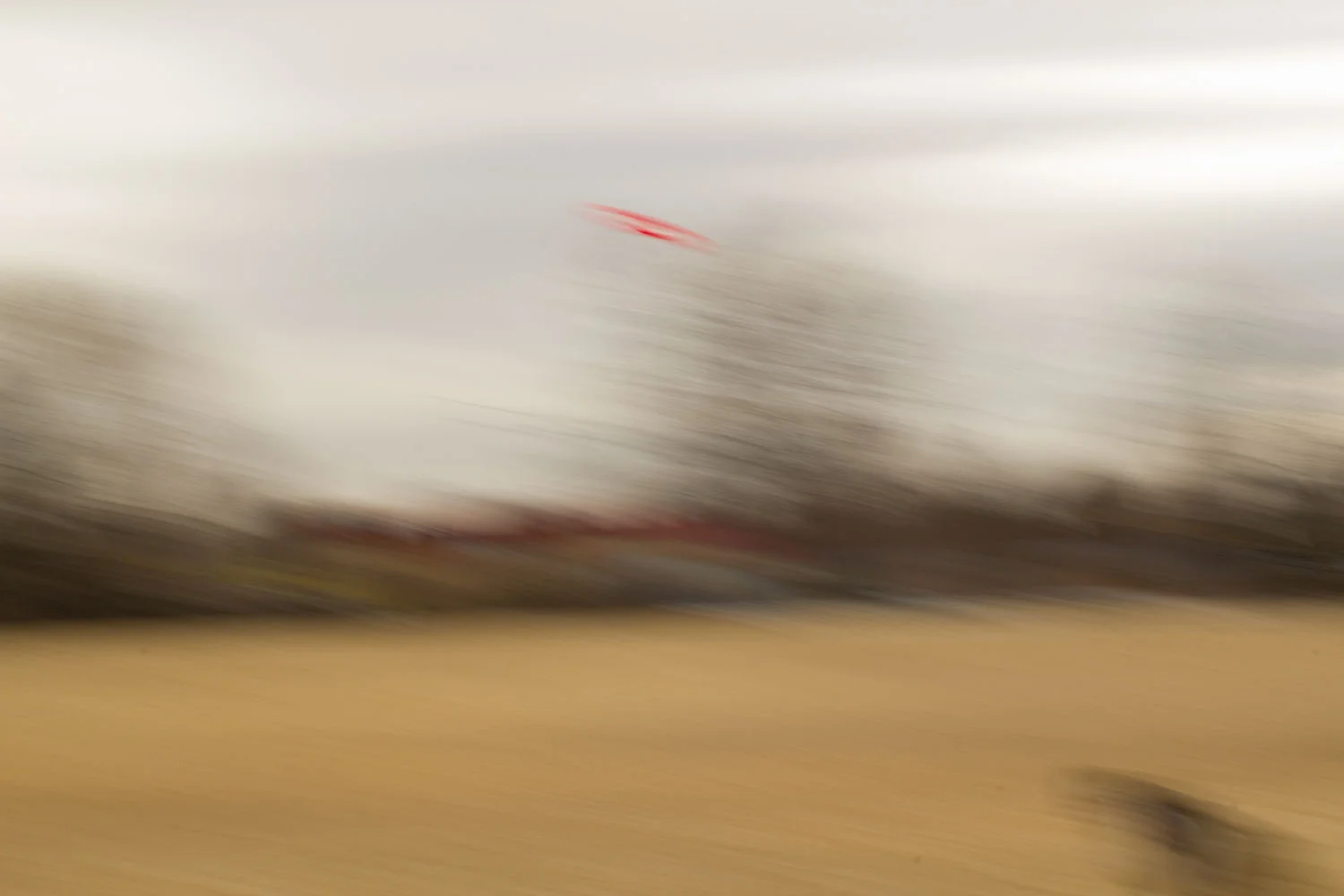 Frisbee