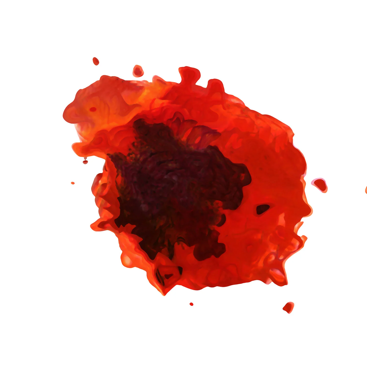 Poppy Love, 30X30 Giclee' on Watercolor paper