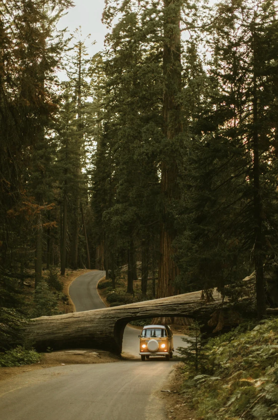 Screenshot 2026-04-08 at 11.36.54 AM.png