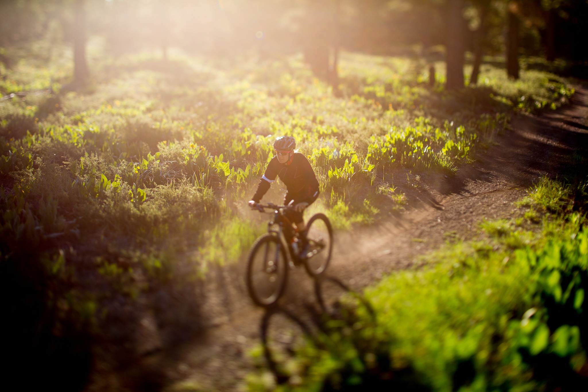 Stew+ErikaMTB-19.jpg