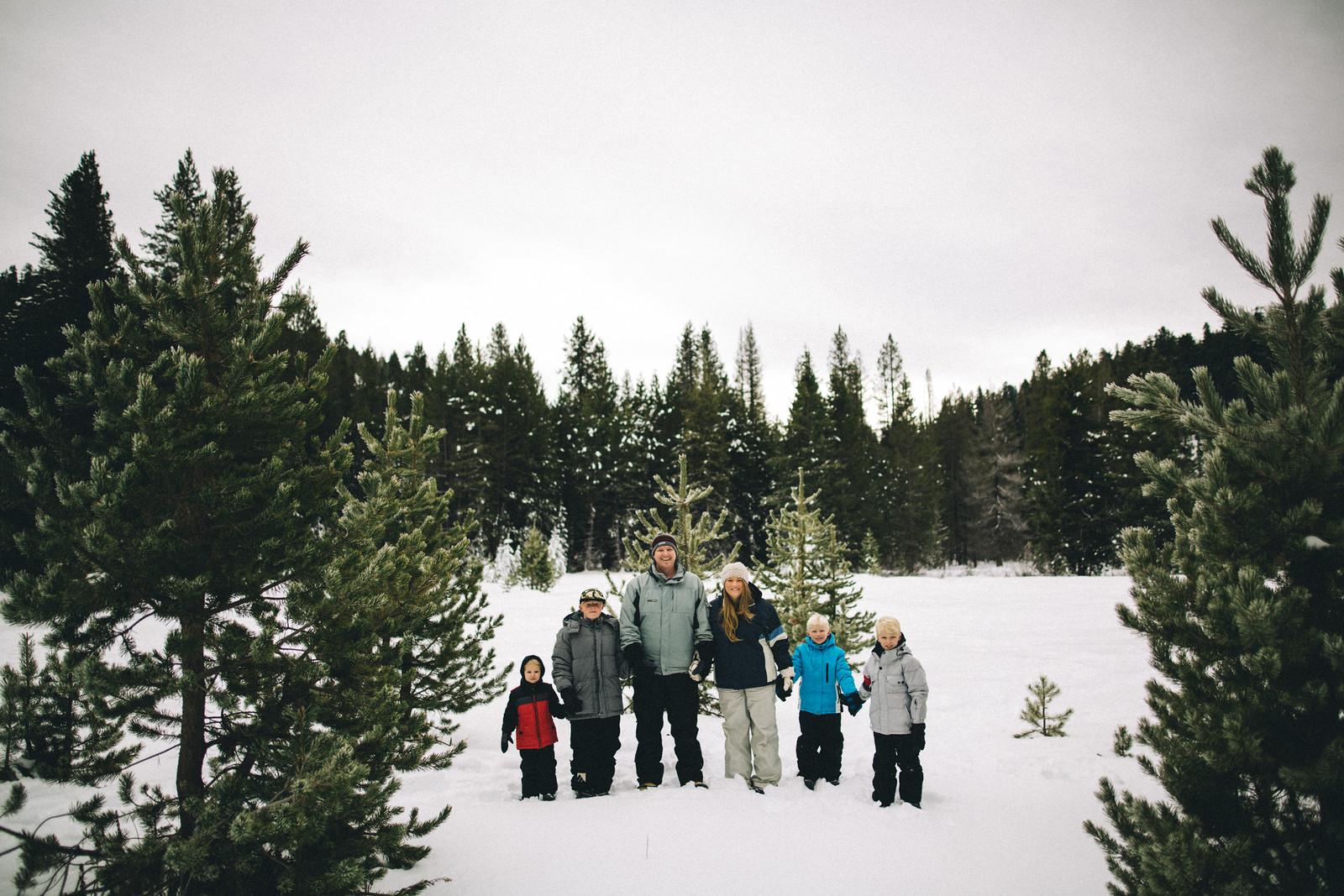 DecemberSequoiaSnow001-2-X3.jpg