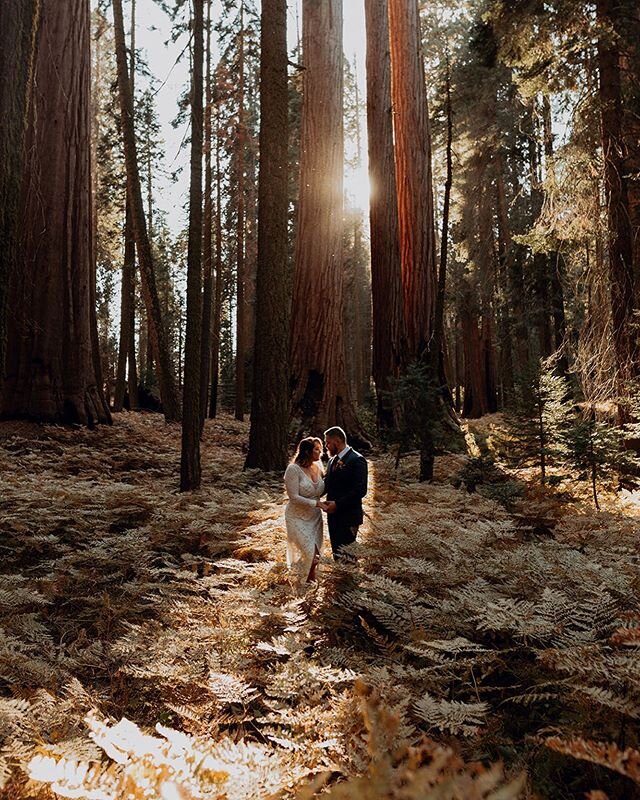 What could be better than a wedding in the woods ✨