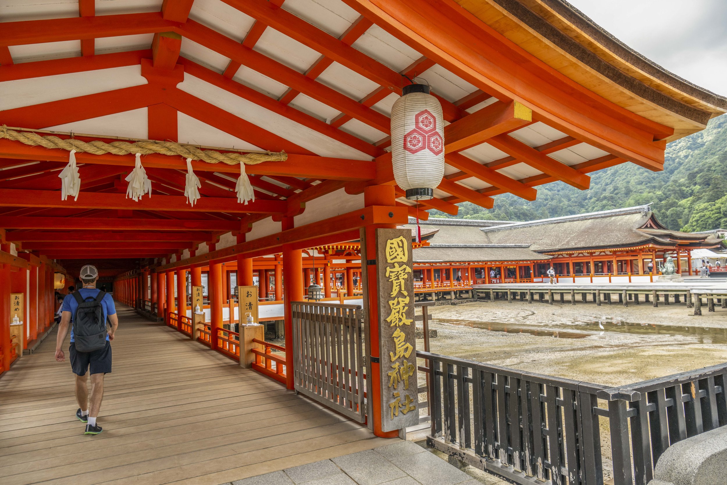 Miyajima-462_1.jpg