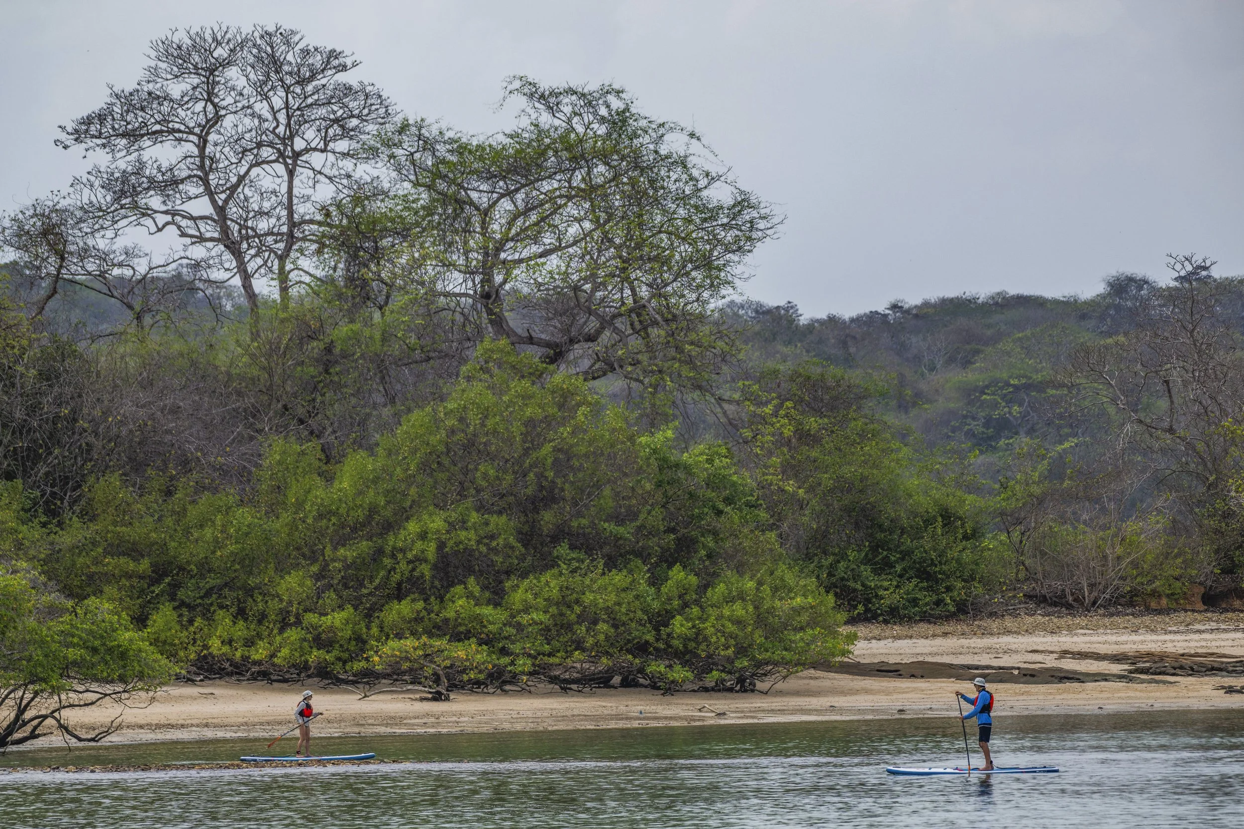 SUP, Mogomogo, Panama, David Vargas, @davidvargasphotography-001_1.jpg