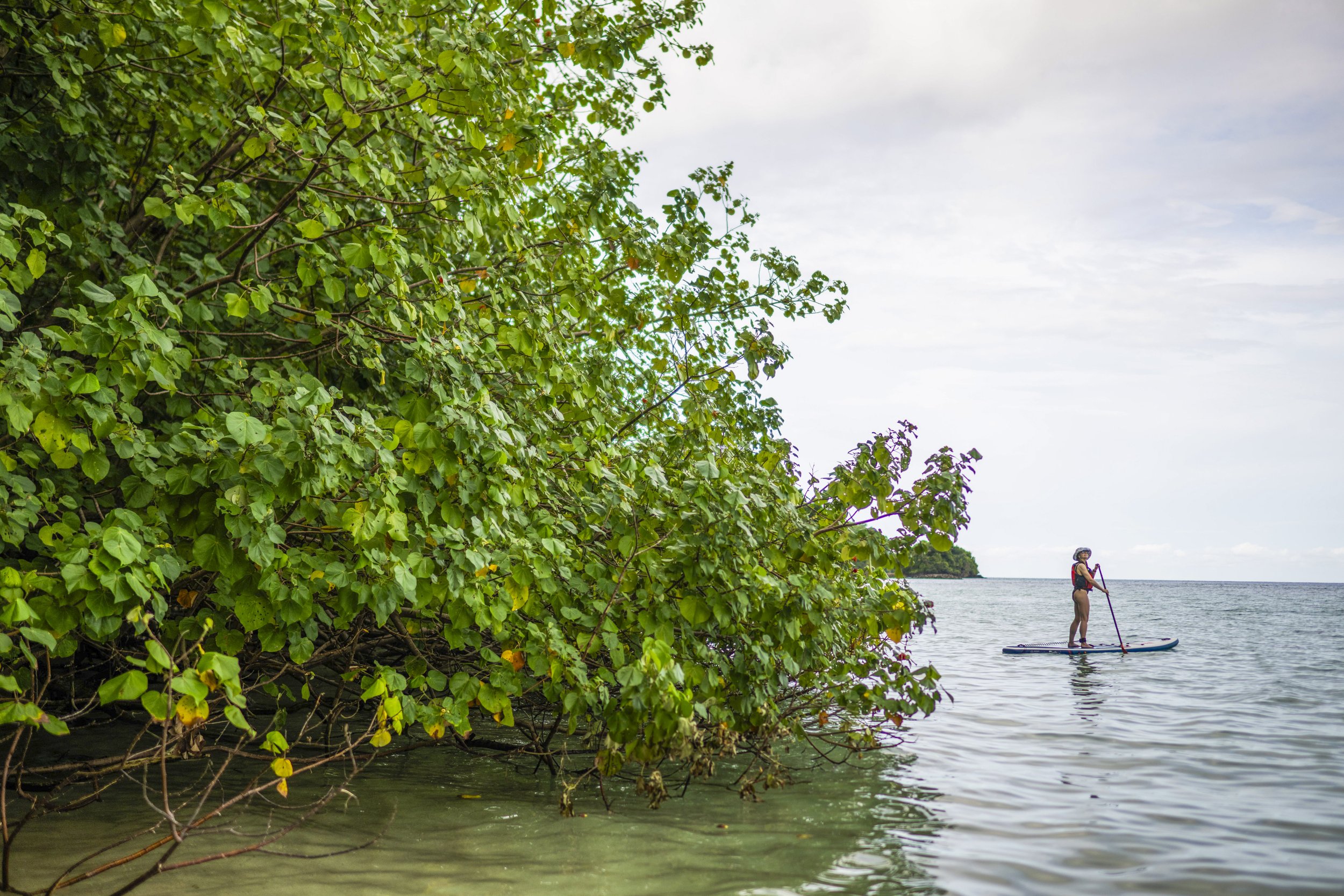 SUP, Coiba, Panama, David Vargas, @davidvargasphotography-006.jpg