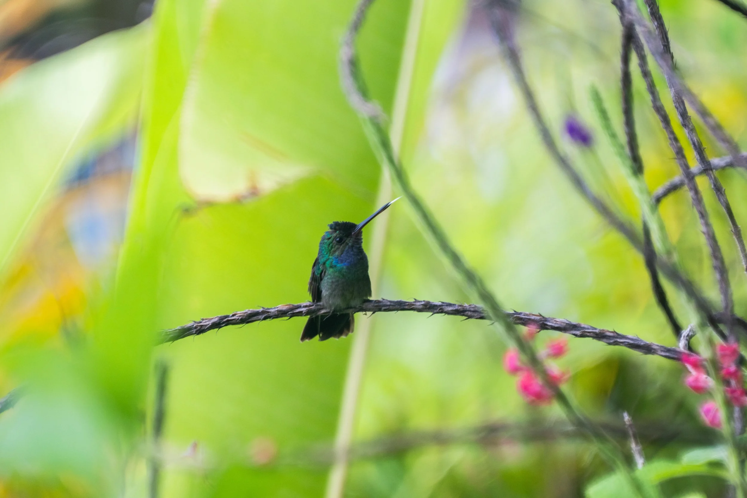 RioClaro-1161.jpg