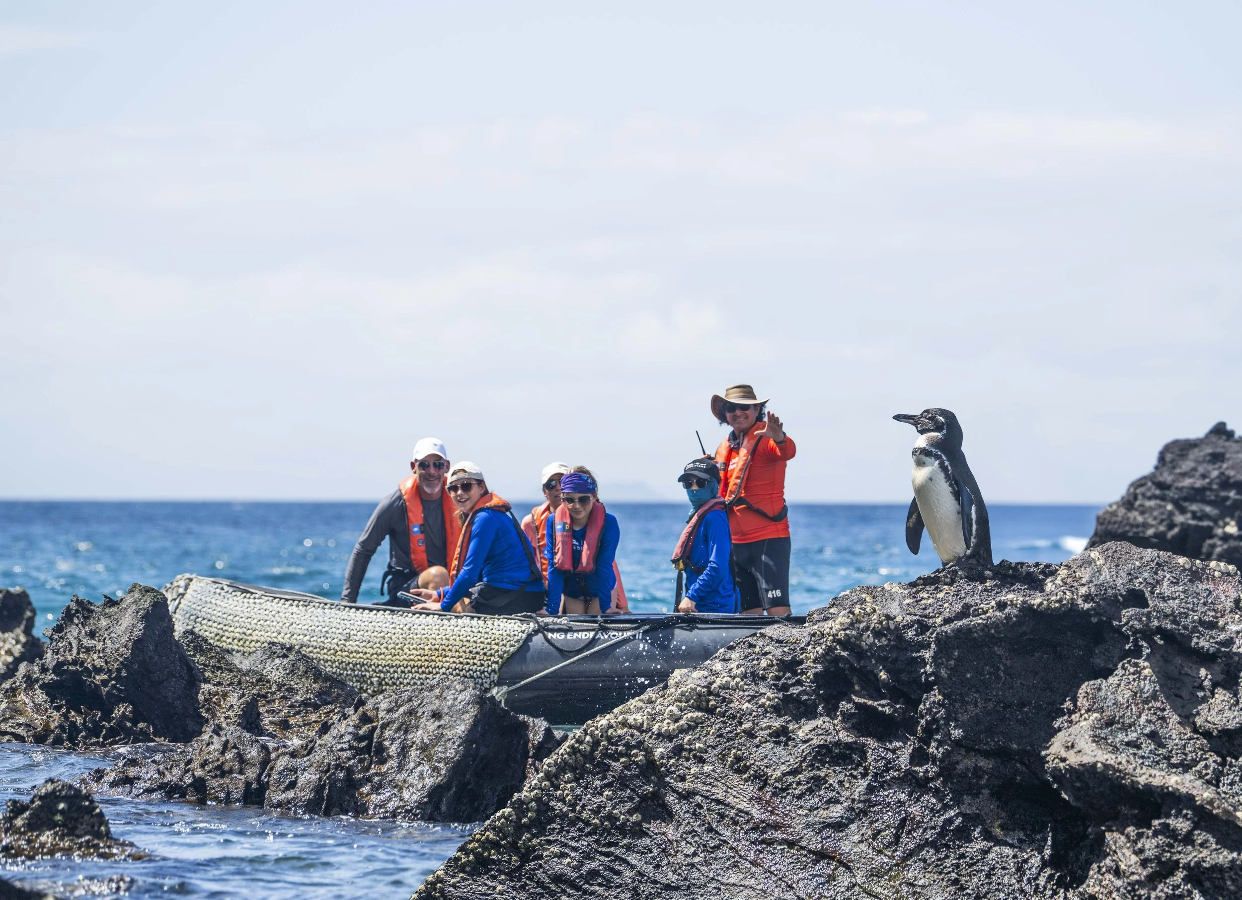 Bartalome-1462 copy_1.jpg