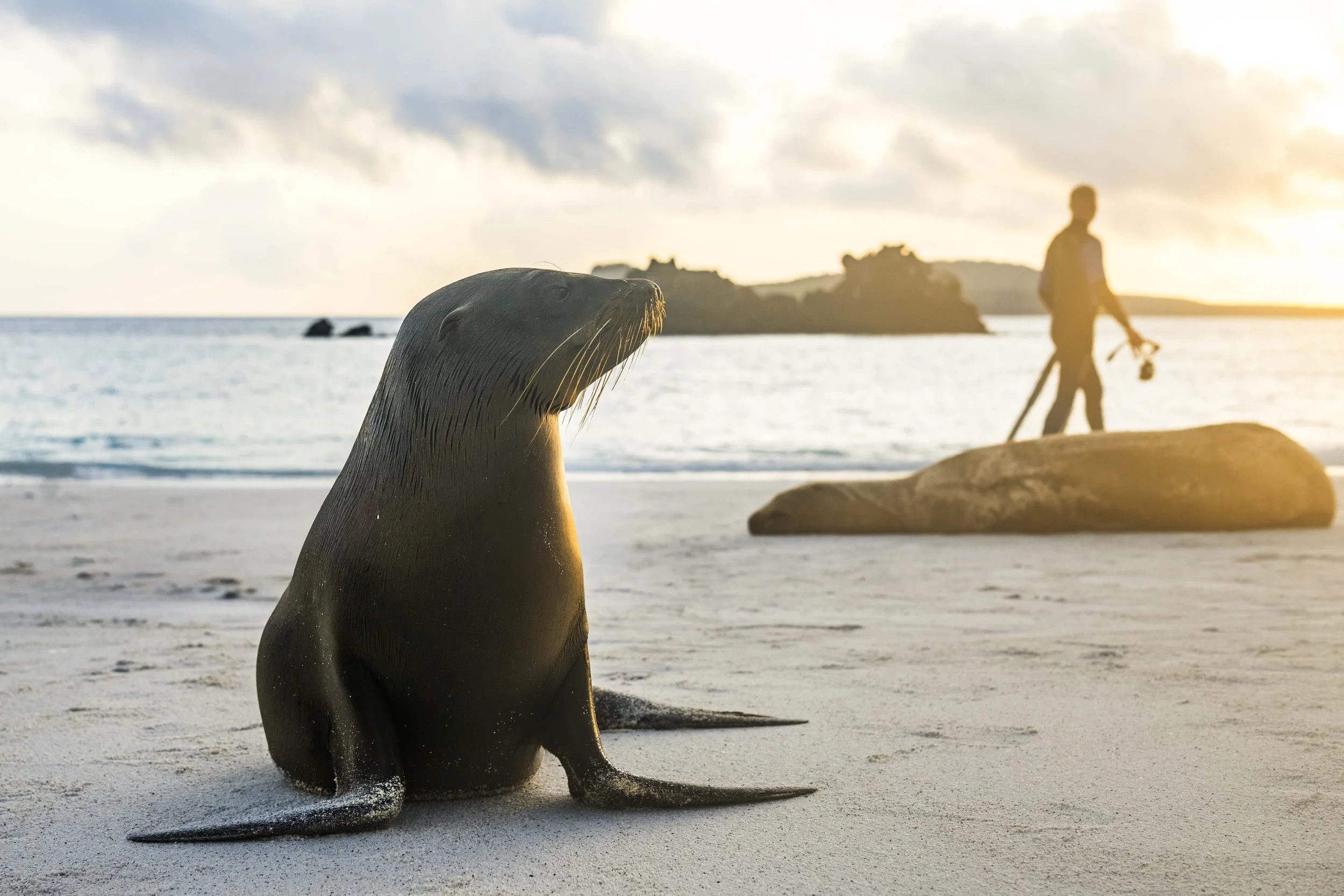 DVPRO_Espanola Island-353_1.jpg