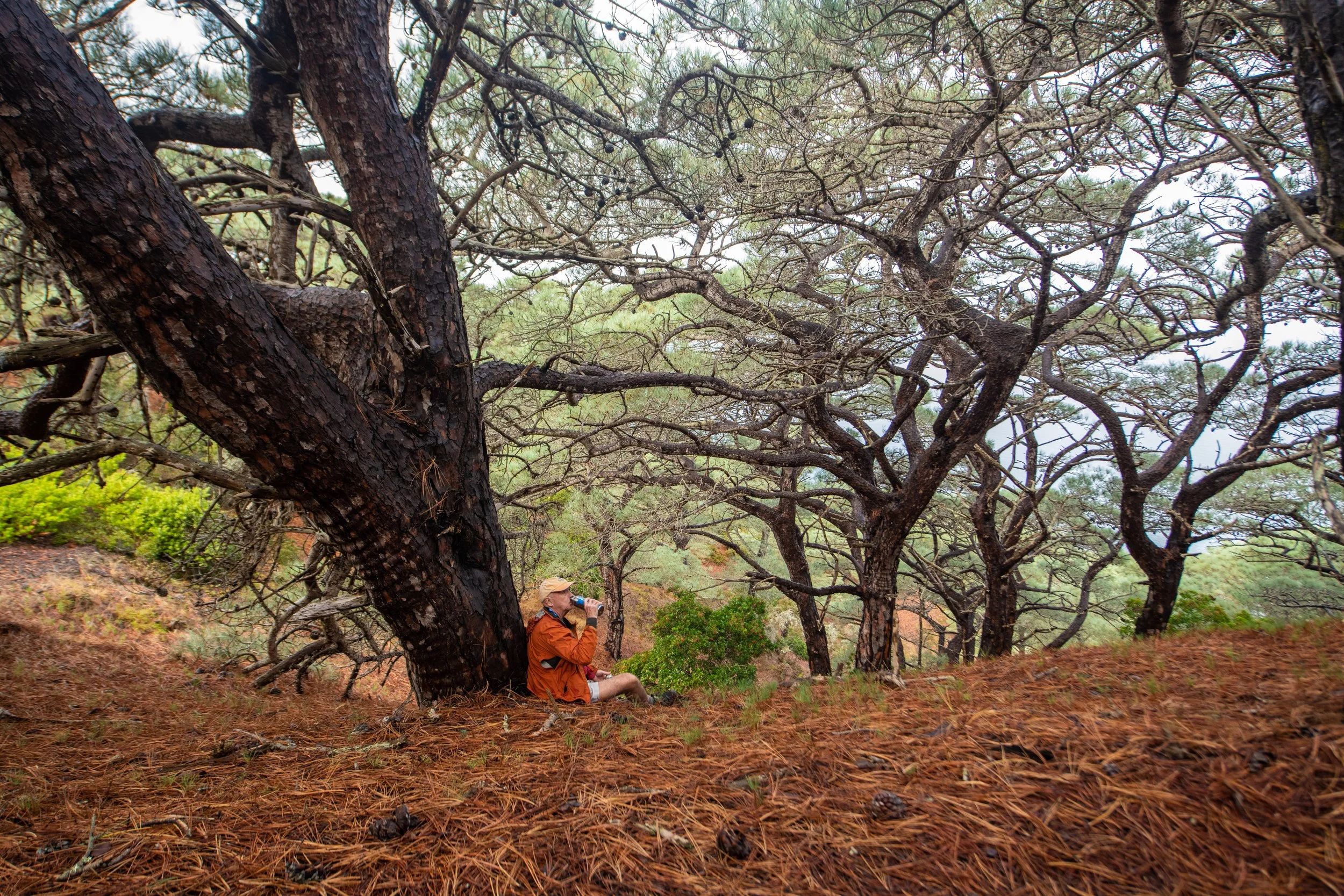 Santa Rosa Island-531.jpg