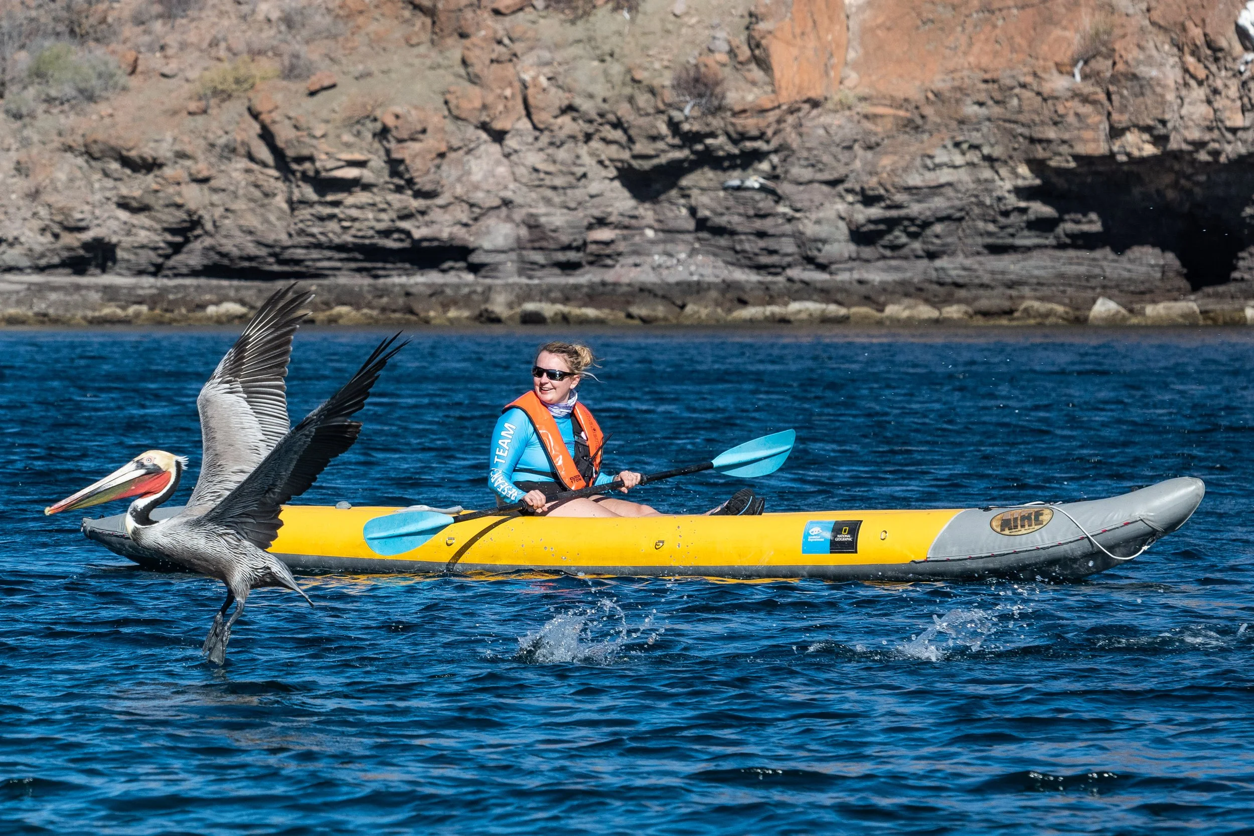 Baja2022_HoneymoonCove-1103-2.JPG