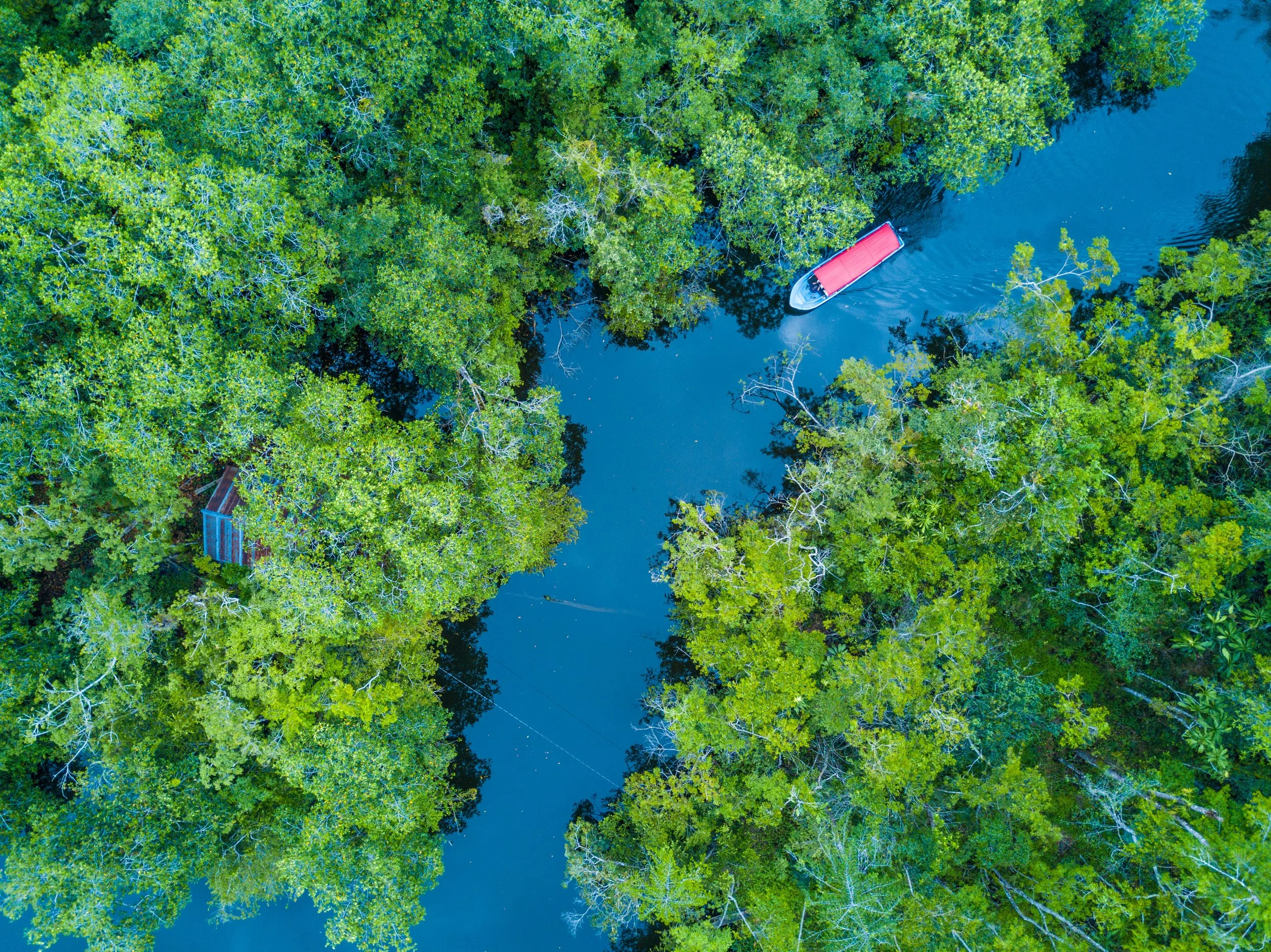 Drone_Rio Dulce-0117.jpg